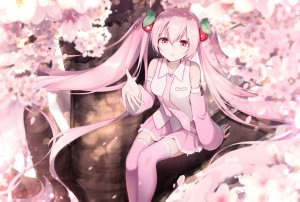 初音ミク,桜ミク,VOCALOID,千羽茸みな,前发,露肩,樱花,发饰,ハナミ,长发,视线正对,迷你短裙,開いた口,花瓣,粉发,衬衫,坐姿,短裙,黑丝,双马尾,絶対領域