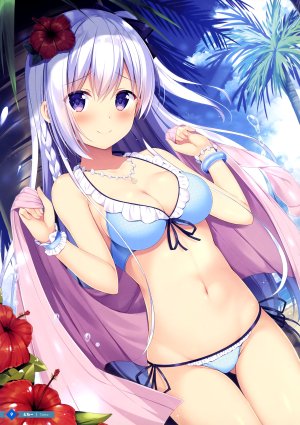 tomoo,水着,cleavage,泳装,超人总动员。