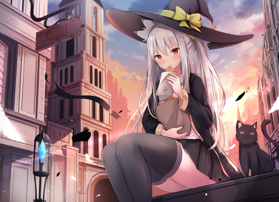 Touhourh 猫 胖次 掀裙 丝袜 魔女