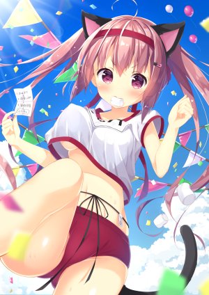 原创,moe2017,yaki_mayu,长发,single,長身像,胸部,双马尾,粉发,兽耳,呆毛,猫耳,猫尾