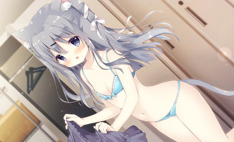 原创 しらたま 兽耳 前发 露肩 碧眼 脸红 Bra