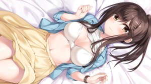 Oryou,二川晴,hibiki_works,bra,长发,马尾辫,短裙,下着,游戏CG